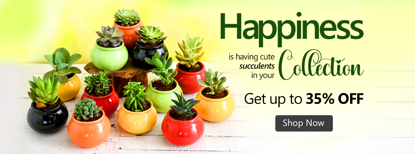 Bring Nature Into Your Home