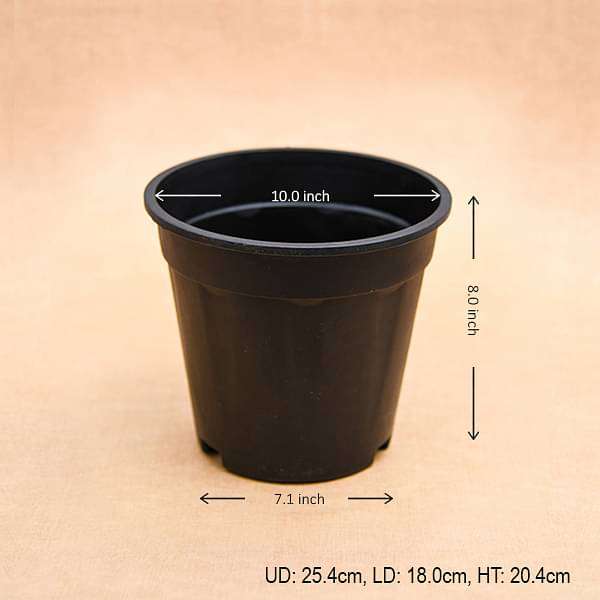 10 inch (25 cm) Grower Round Plastic Pot (Black) (set of 6) - Image 3