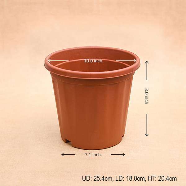10 inch (25 cm) Grower Round Plastic Pot (Terracotta Color) (set of 6) - Image 2