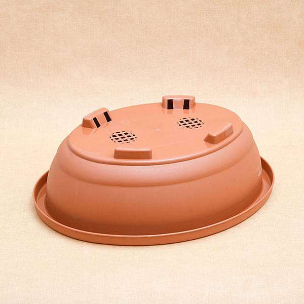 16.1 inch (41 cm) Bonsai Oval Plastic Pot (Terracotta Color) (set of 3) - Image 3