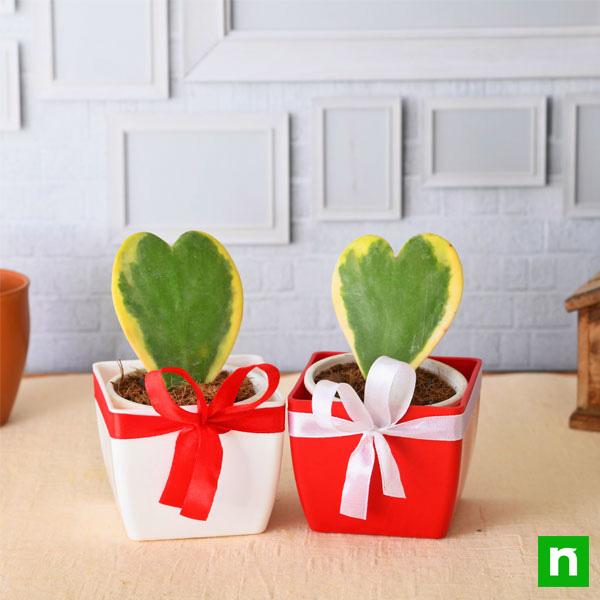 Valentine's Special 2 Loving Hearts
