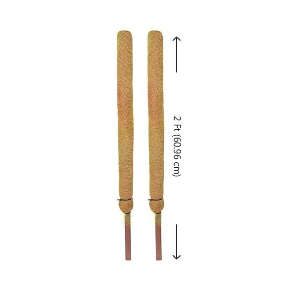 2ft Coir Pole (set of 2) - Image 2