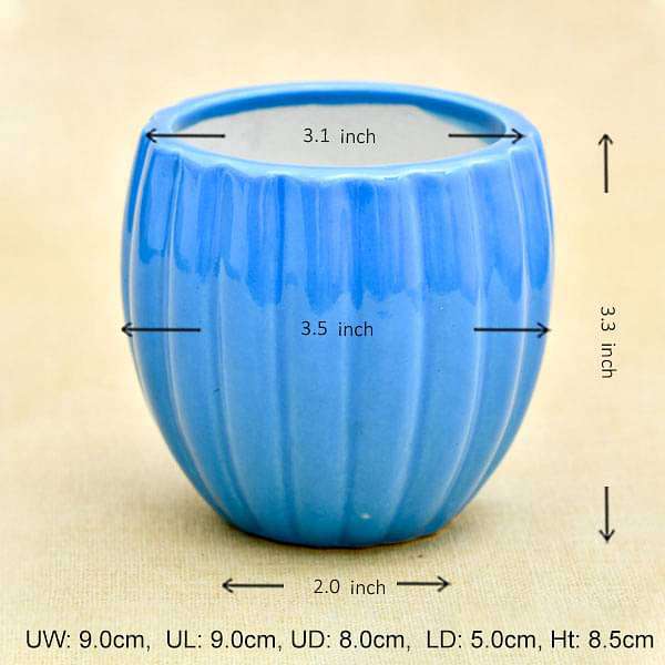 3.1 inch (8 cm) Vertical Ridges Pattern Round Ceramic Pot (Blue) (set of 2) - Image 2