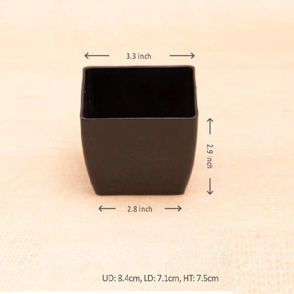 3.3 inch (8 cm) Square Plastic Planter with Rounded Edges - Image 10