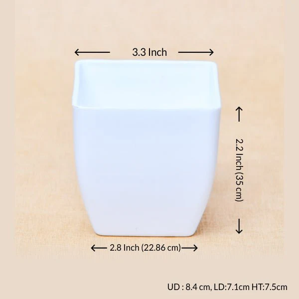 3.3 inch (8 cm) Square Plastic Planter with Rounded Edges - Image 4