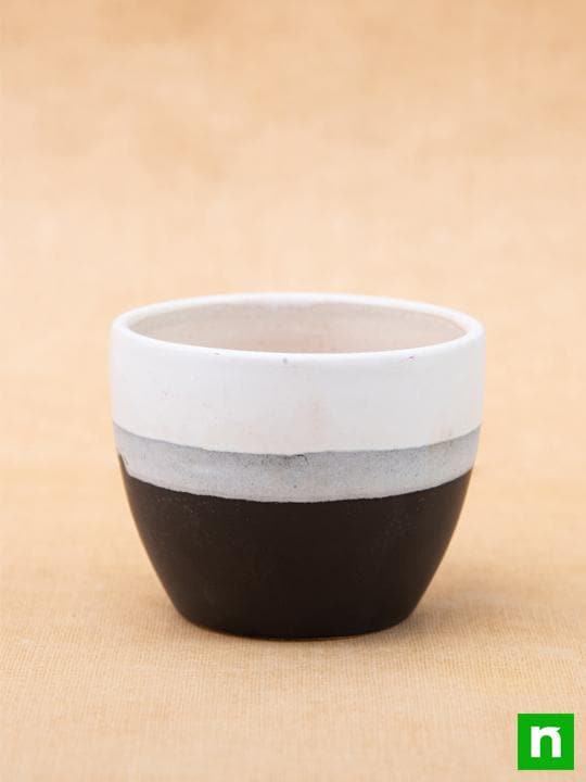 3.7 inch (9 cm) Round Egg Ceramic Pot with Plate (White, Black) (Set of 2) - Image 3