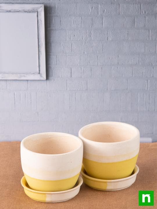 3.7 inch (9 cm) Round Egg Ceramic Pot with Plate (White, Yellow) (Set of 2) - Image 2