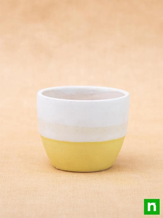 3.7 inch (9 cm) Round Egg Ceramic Pot with Plate (White, Yellow) (Set of 2) - Image 3