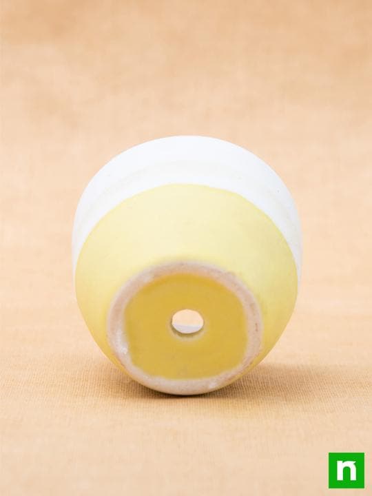3.7 inch (9 cm) Round Egg Ceramic Pot with Plate (White, Yellow) (Set of 2) - Image 4