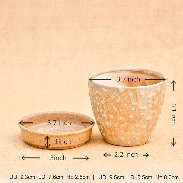 3.7 inch (9 cm) CP016 Embossed Round Egg Ceramic Pot With Plate (Beige) (set of 2) - Image 2