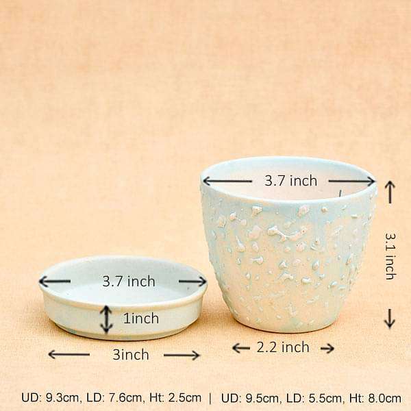 3.7 inch (9 cm) CP018 Embossed Round Egg Ceramic Pot With Plate (Aqua Blue) (set of 2) - Image 2