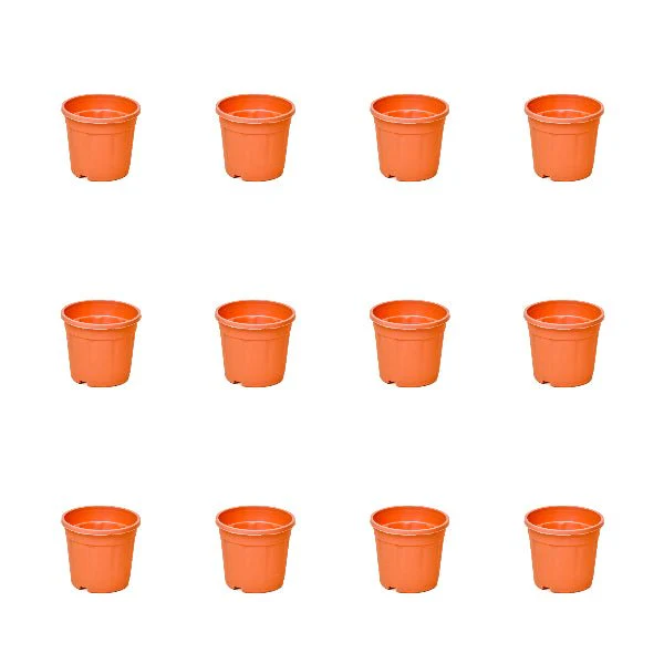 3 inch (8 cm) Grower Round Plastic Pot - Image 10
