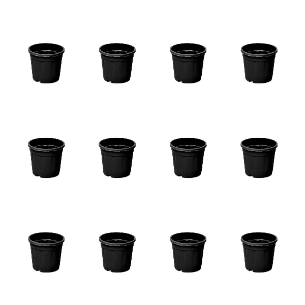 3 inch (8 cm) Grower Round Plastic Pot - Image 12