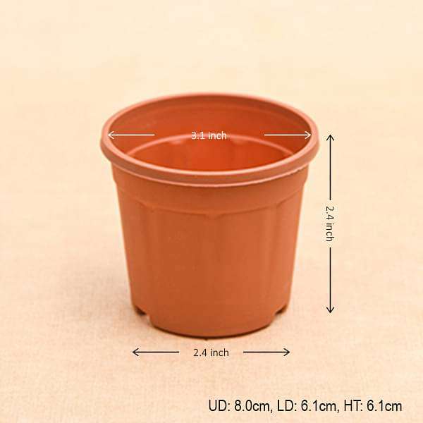 3 inch (8 cm) Grower Round Plastic Pot - Image 2