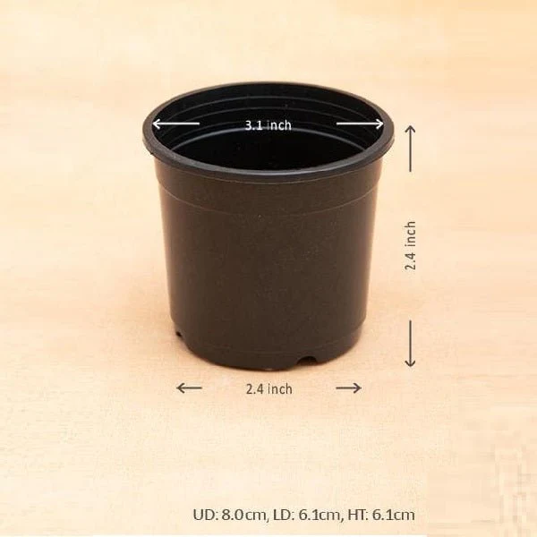 3 inch (8 cm) Grower Round Plastic Pot - Image 6