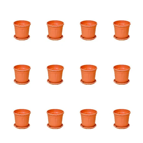3 inch (8 cm) Grower Round Plastic Pot - Image 9