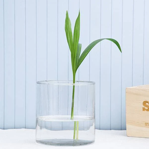 3 inch Cylindrical Glass Vase