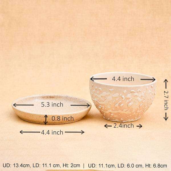 4.4 inch (11 cm) CP015 Embossed Bowl Round Ceramic Pot With Plate (Beige) - Image 2