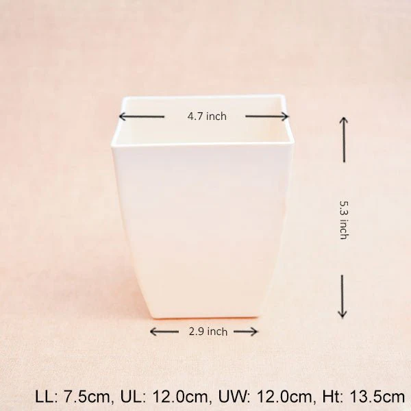 4.7 inch (12 cm) Chatura No. 12 Square Plastic Planter (Ivory) (set of 6) - Image 2