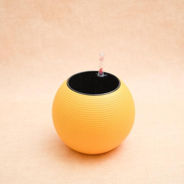 4.9 inch (12 cm) GW 01 Self Watering Round Plastic Planter (Yellow) - Image 2