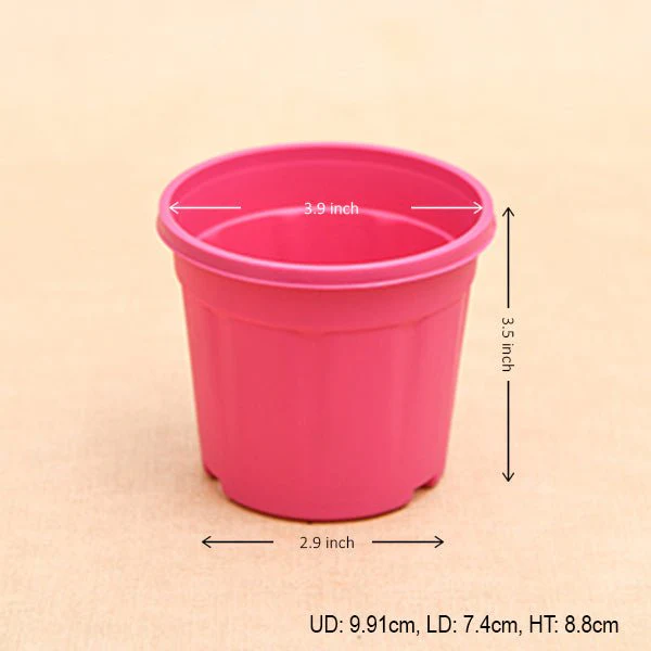 4 inch (10 cm) Grower Round Plastic Pot - Image 10