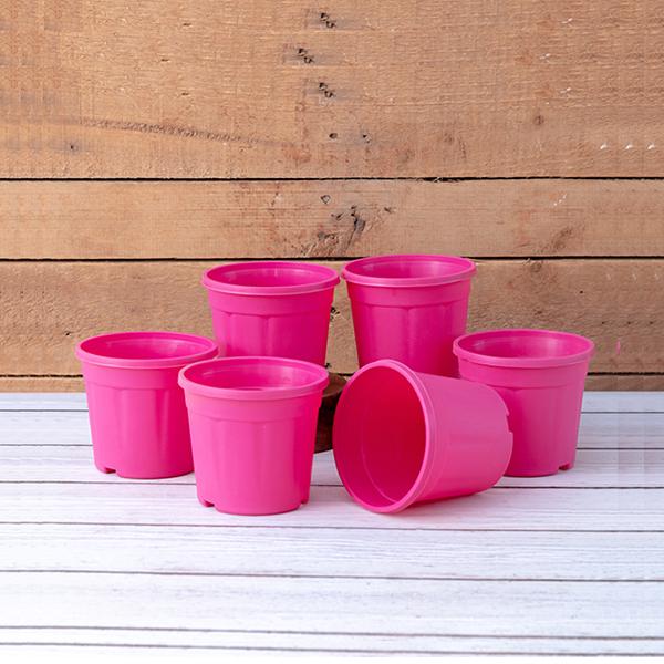 4 inch (10 cm) Grower Round Plastic Pot - Image 12