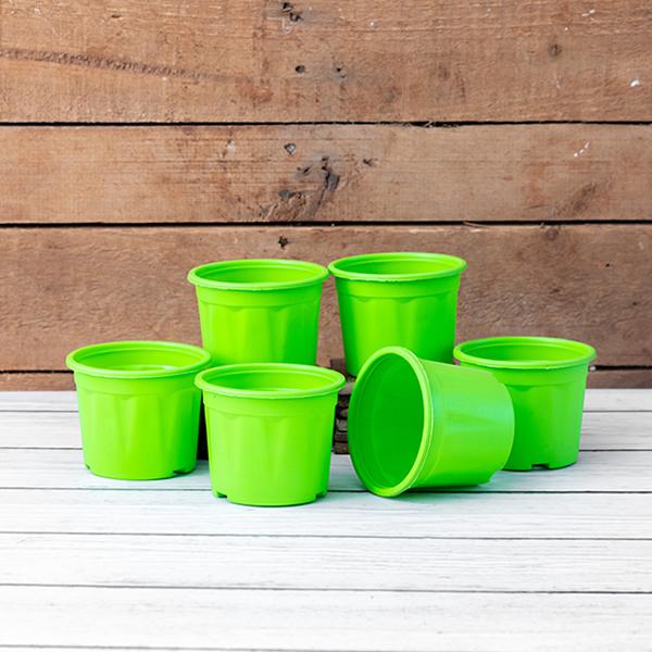4 inch (10 cm) Grower Round Plastic Pot - Image 16