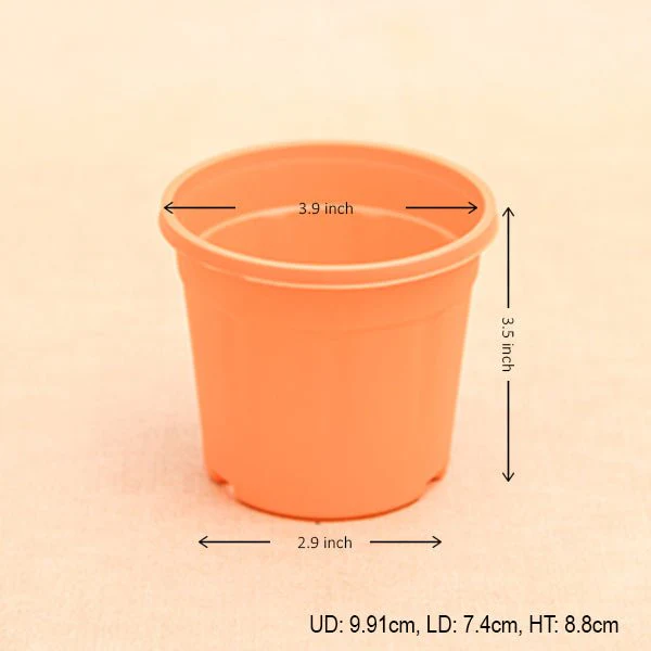 4 inch (10 cm) Grower Round Plastic Pot - Image 18