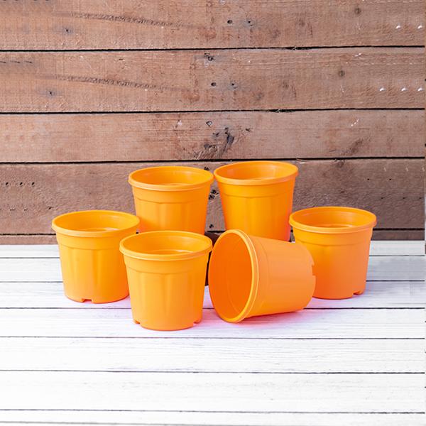 4 inch (10 cm) Grower Round Plastic Pot - Image 20