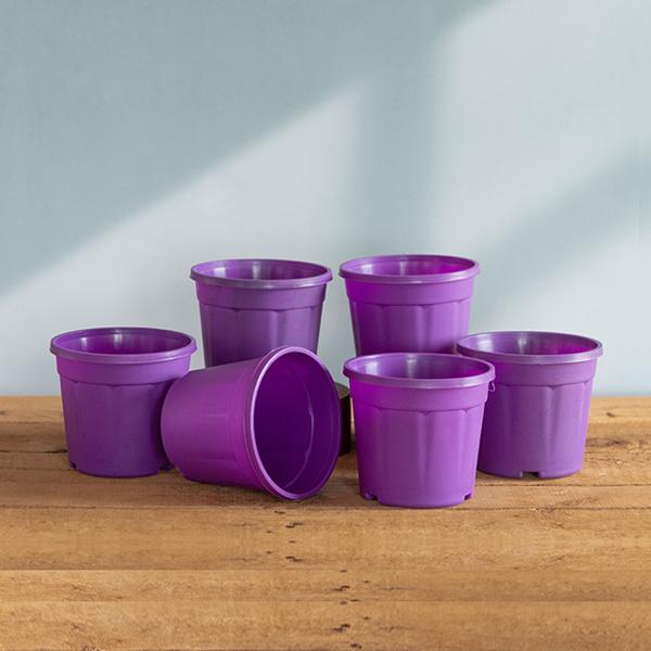 4 inch (10 cm) Grower Round Plastic Pot - Image 24