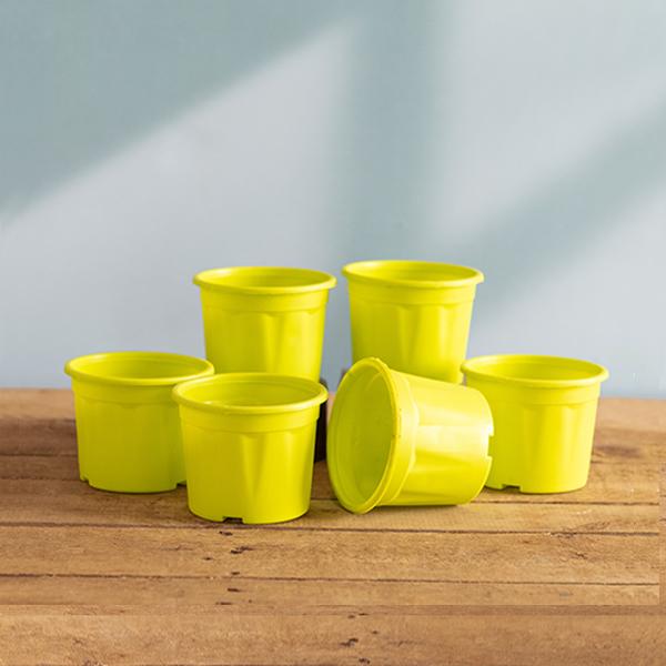 4 inch (10 cm) Grower Round Plastic Pot - Image 28