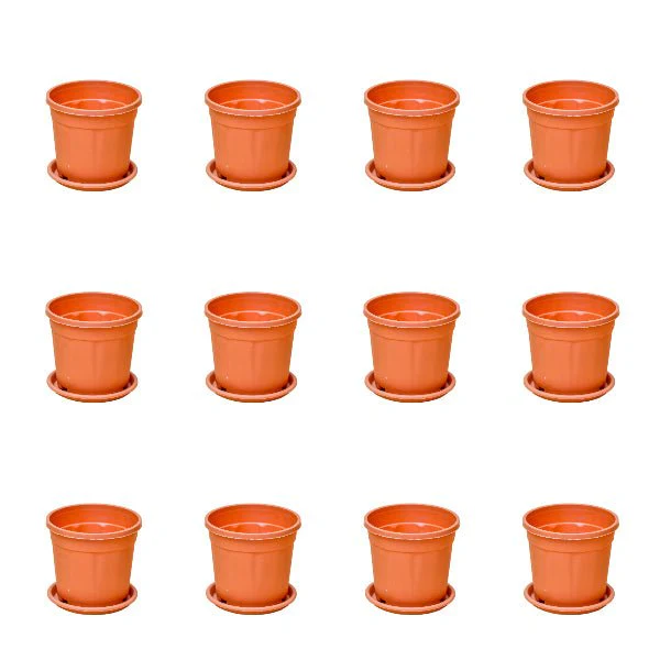 4 inch (10 cm) Grower Round Plastic Pot - Image 35