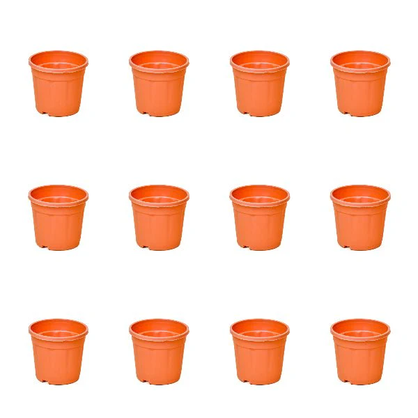 4 inch (10 cm) Grower Round Plastic Pot - Image 36