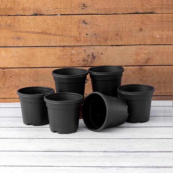 4 inch (10 cm) Grower Round Plastic Pot - Image 4