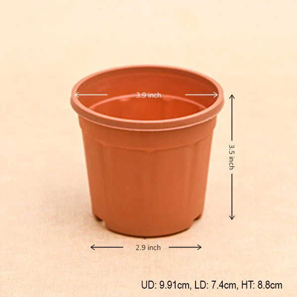 4 inch (10 cm) Grower Round Plastic Pot - Image 6