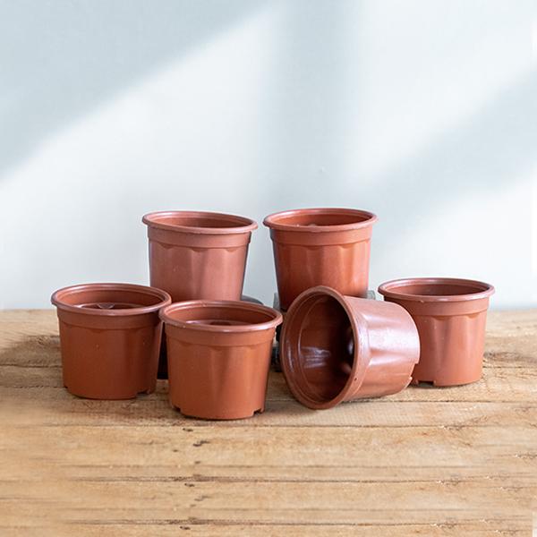 4 inch (10 cm) Grower Round Plastic Pot - Image 8