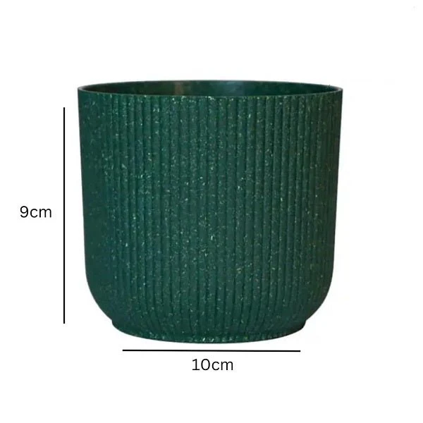4 inch (10 cm) Ibiza Eco Pot - Image 12