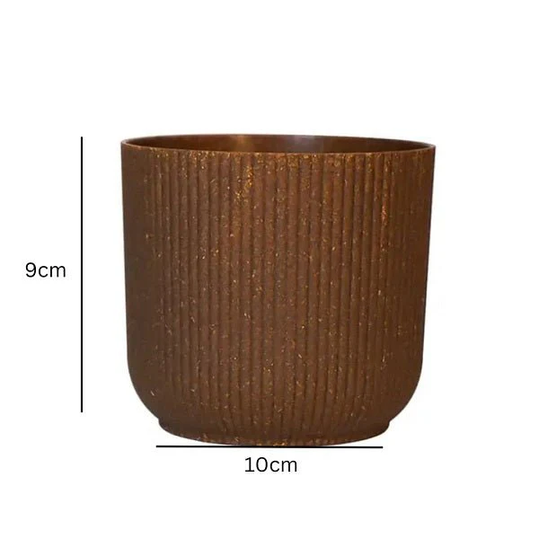 4 inch (10 cm) Ibiza Eco Pot - Image 6