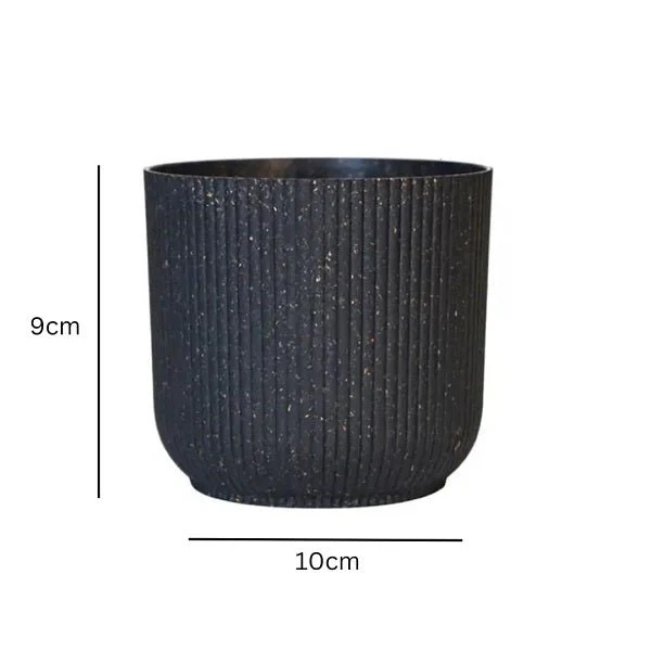 4 inch (10 cm) Ibiza Eco Pot - Image 9
