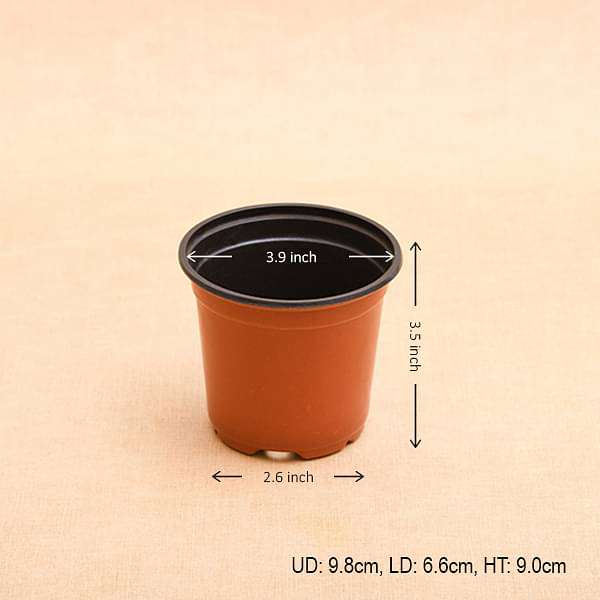 4 inch (10 cm) Round Plastic Thermoform Pot - Image 3