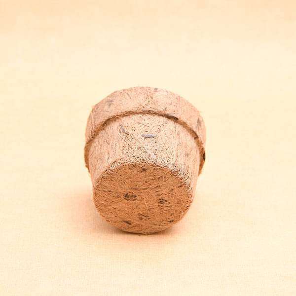 4.3 inch (11 cm) Coco Round Pot (Brown) (set of 6) - Image 3