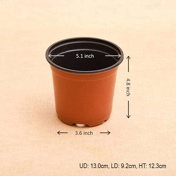 5.1 inch (13 cm) Round Plastic Thermoform Pot - Image 4