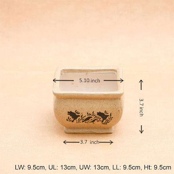5.1 inch (13 cm) Bonsai Square Ceramic Pot (Brown) (set of 2) - Image 2