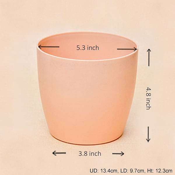5.3 inch (13 cm) Ronda No. 1412 Round Plastic Planter (Camel Color) (set of 6) - Image 3