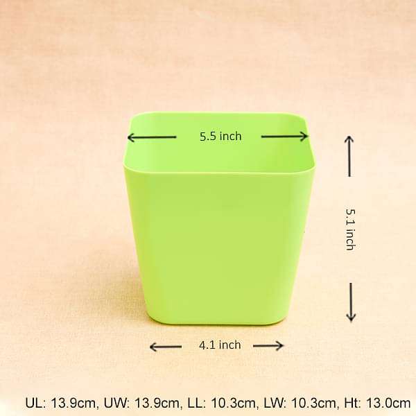 5.5 inch (14 cm) Square Plastic Planter with Rounded Edges (Green) (set of 6) - Image 2