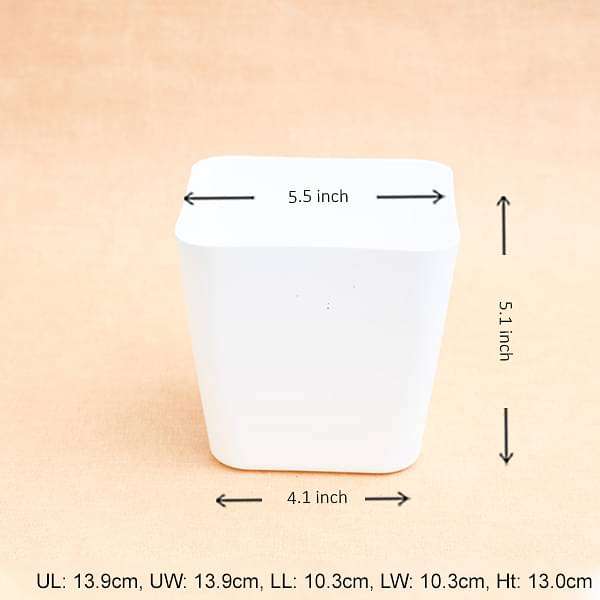 5.5 inch (14 cm) Square Plastic Planter with Rounded Edges (White) (set of 6) - Image 2