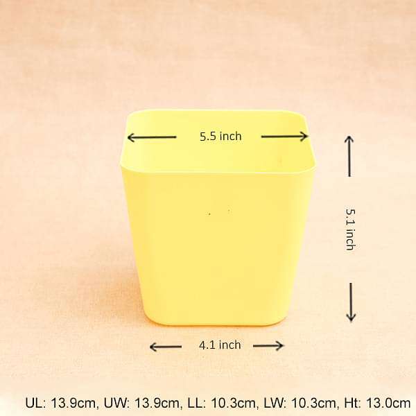 5.5 inch (14 cm) Square Plastic Planter with Rounded Edges (Yellow) (set of 6) - Image 2