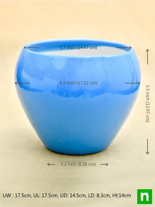 5.7 inch (14 cm) Apple Round Ceramic Pots - Pack of 2 - Image 3