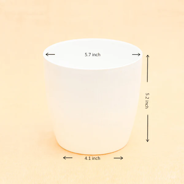 5.7 inch (14 cm) Ronda No.14.5 Round Plastic Planter - Image 2