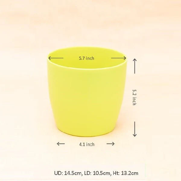 5.7 inch (14 cm) Ronda No.14.5 Round Plastic Planter - Image 8